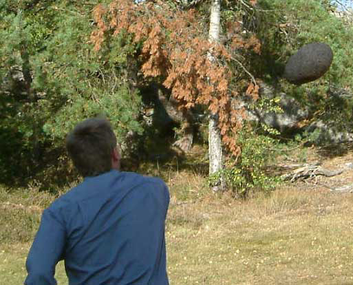 stenkast_med_liten_sten_by_mats